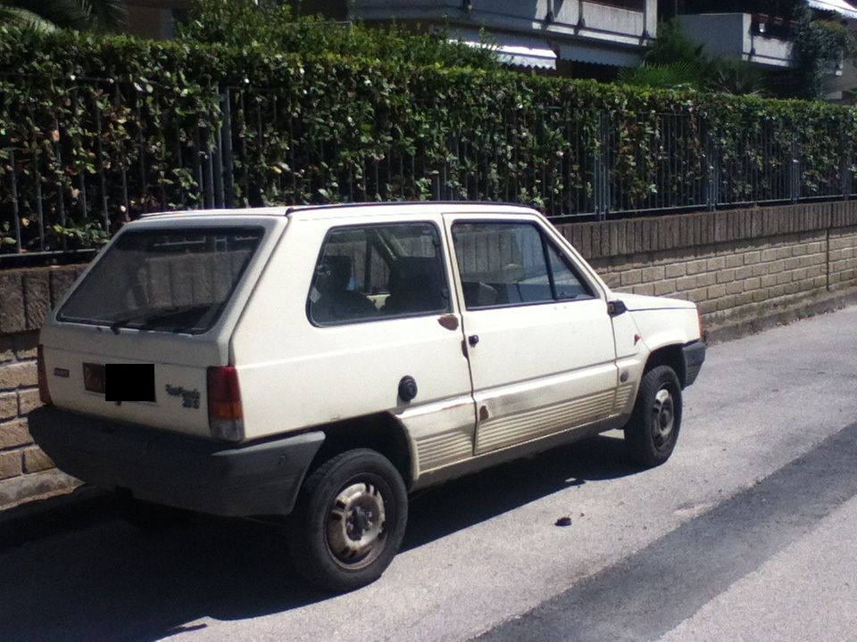 310.jpg