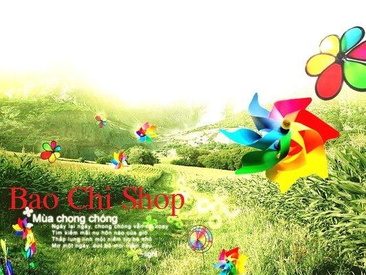 Bao Chi Shop - Chuyên giày Việt Nam xuất khẩu (Adidas, New Balance, Nike, Vans...) - 1