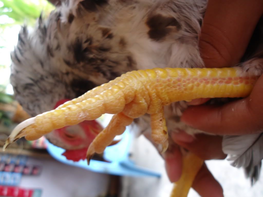 [REVIEW] Lớp Phổ Cập Bơi Của A Hải ( Kathy Optic ) - 4