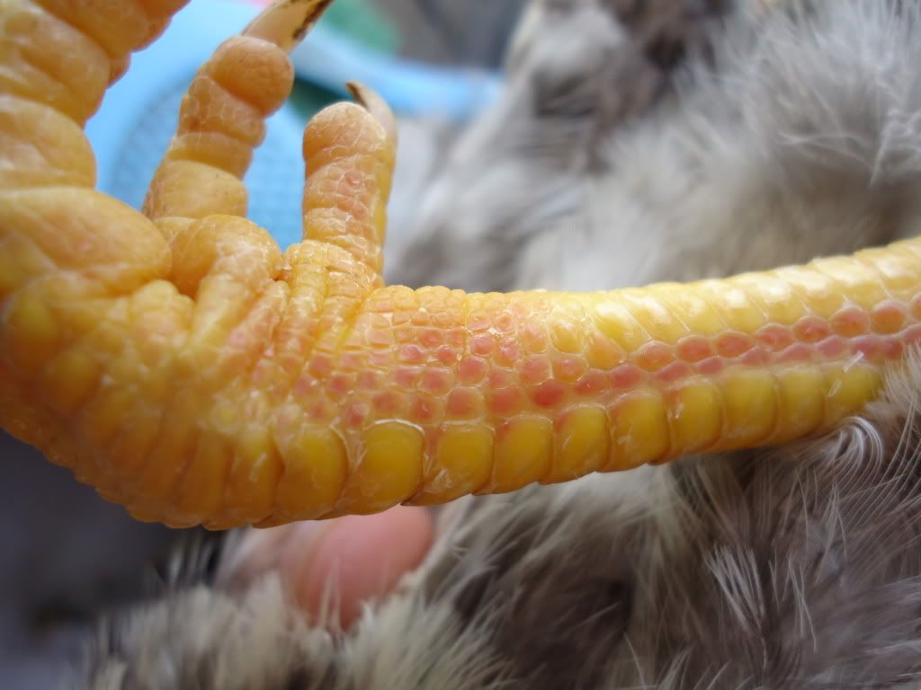 [REVIEW] Lớp Phổ Cập Bơi Của A Hải ( Kathy Optic ) - 3