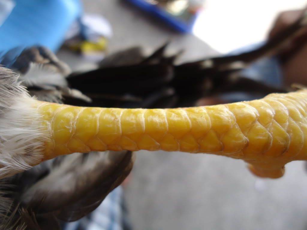 [REVIEW] Lớp Phổ Cập Bơi Của A Hải ( Kathy Optic ) - 2