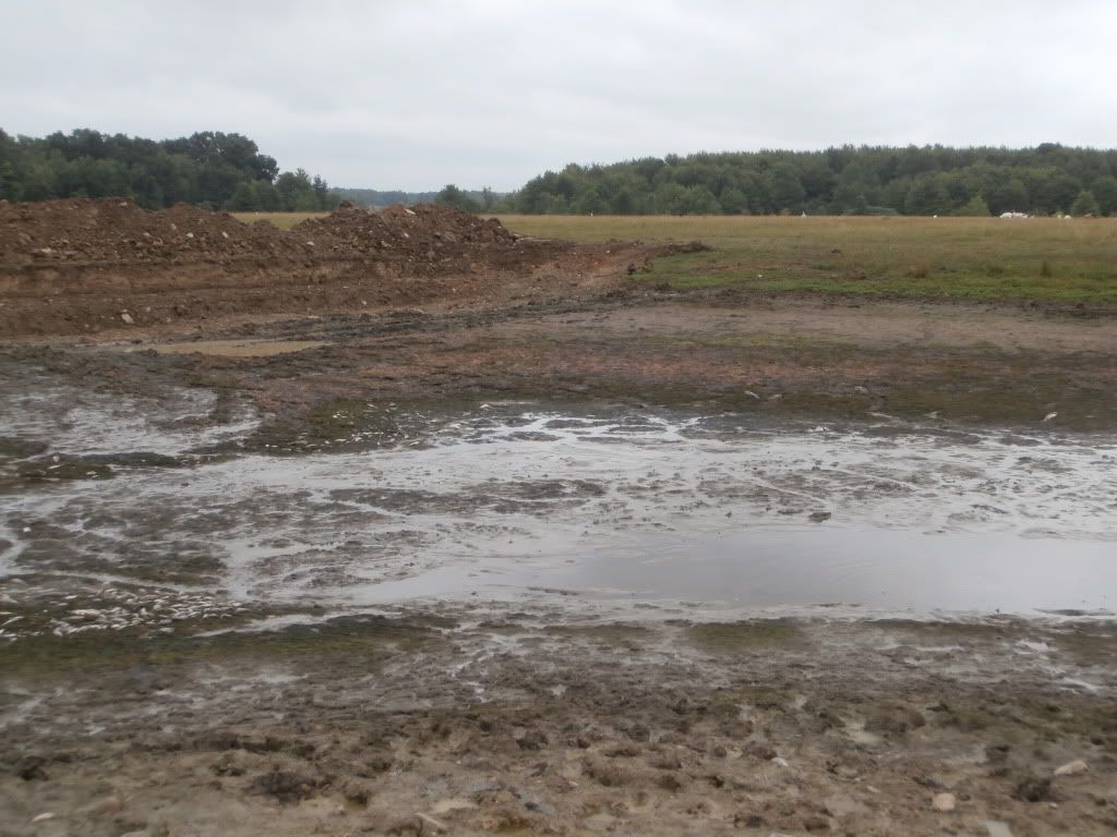 Farm pond renovation - Homesteading Questions