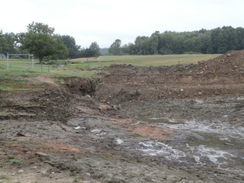 Farm pond renovation - Homesteading Questions