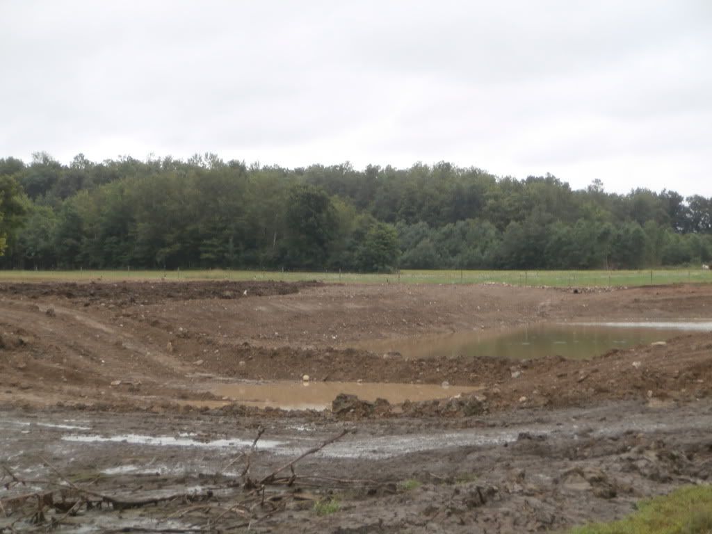 Farm pond renovation - Homesteading Questions