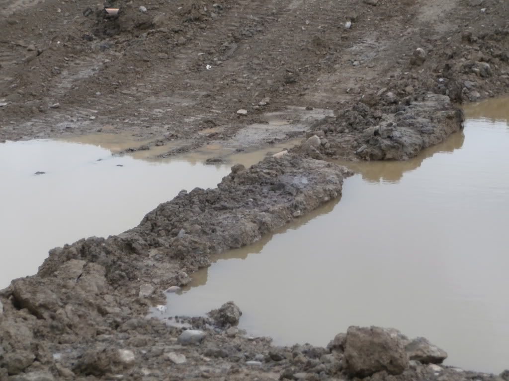 Farm pond renovation - Homesteading Questions