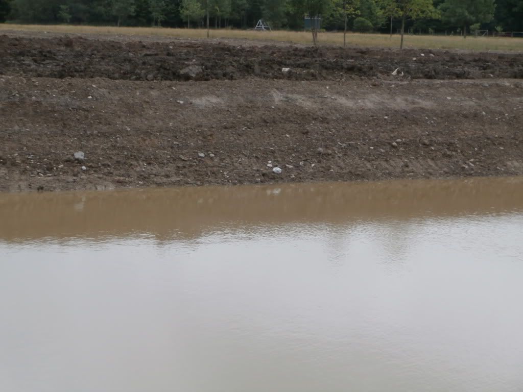 Farm pond renovation - Homesteading Questions