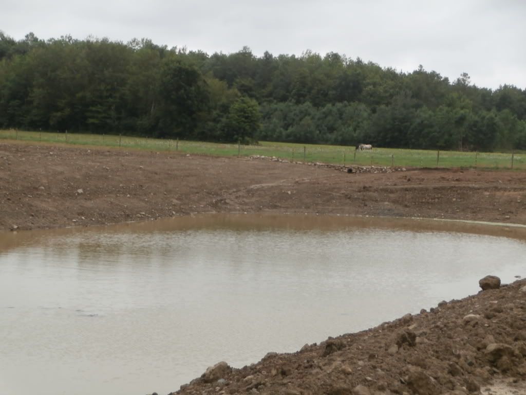 Farm pond renovation - Homesteading Questions