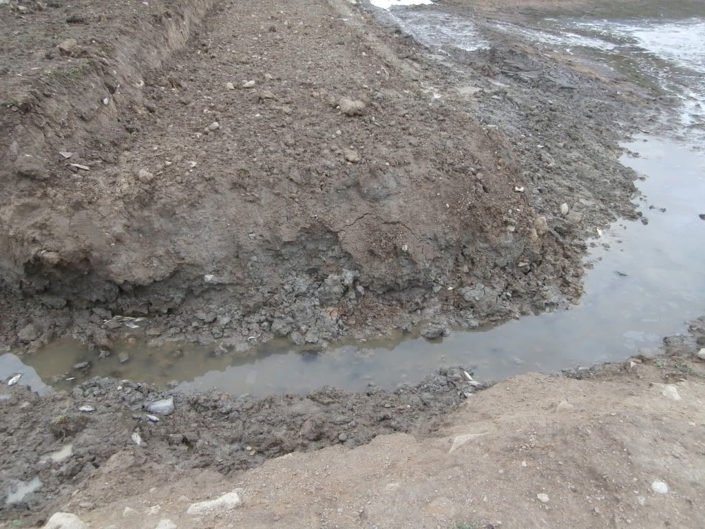 Farm pond renovation - Homesteading Questions