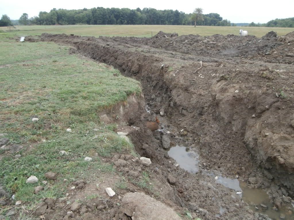 Farm pond renovation - Homesteading Questions