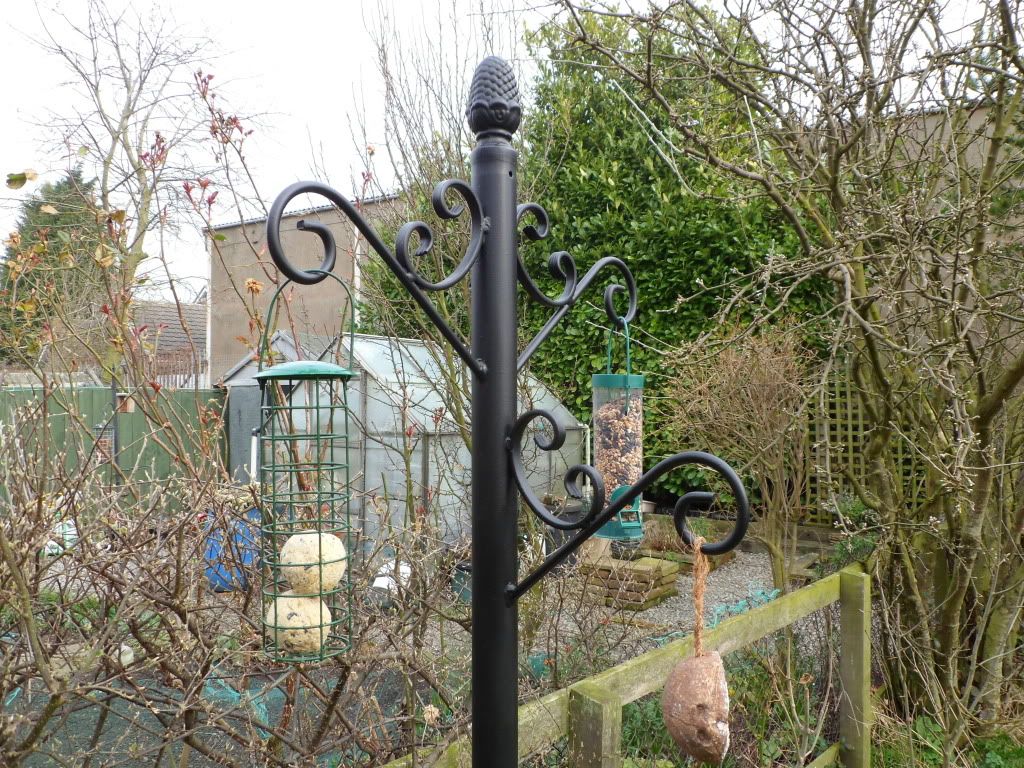 WROUGHT IRON BIRD FEEDER POLE/GALVANISED eBay