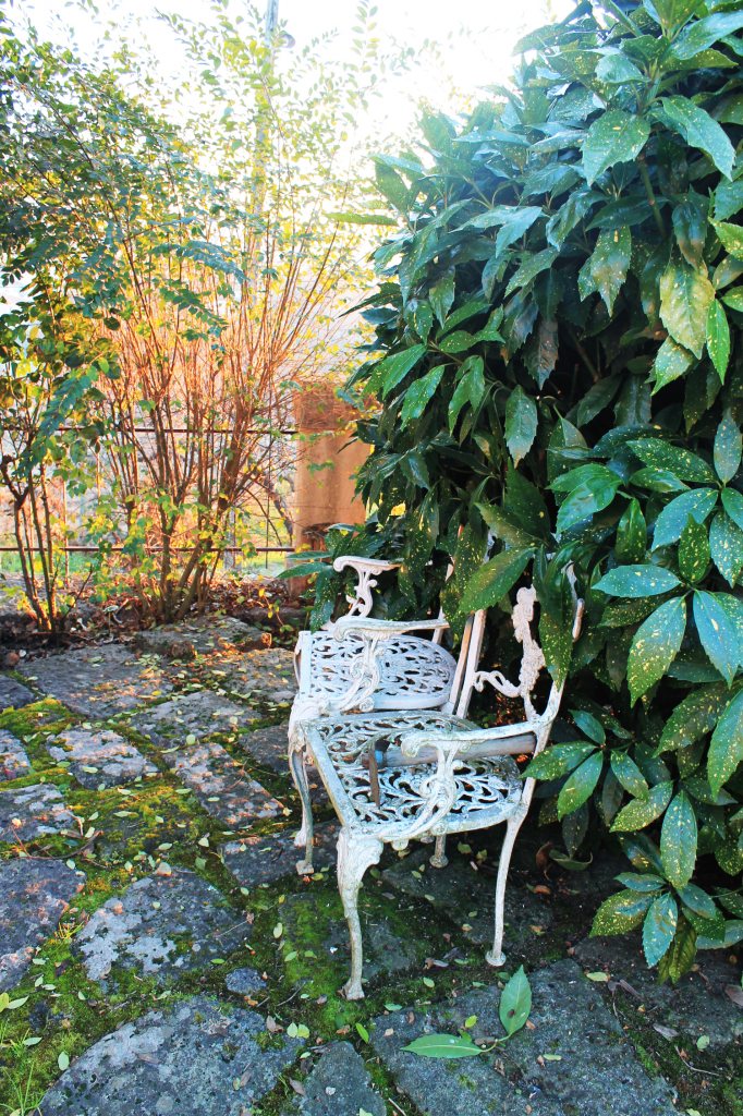  photo gardendetails_zps5d57a5bf.png