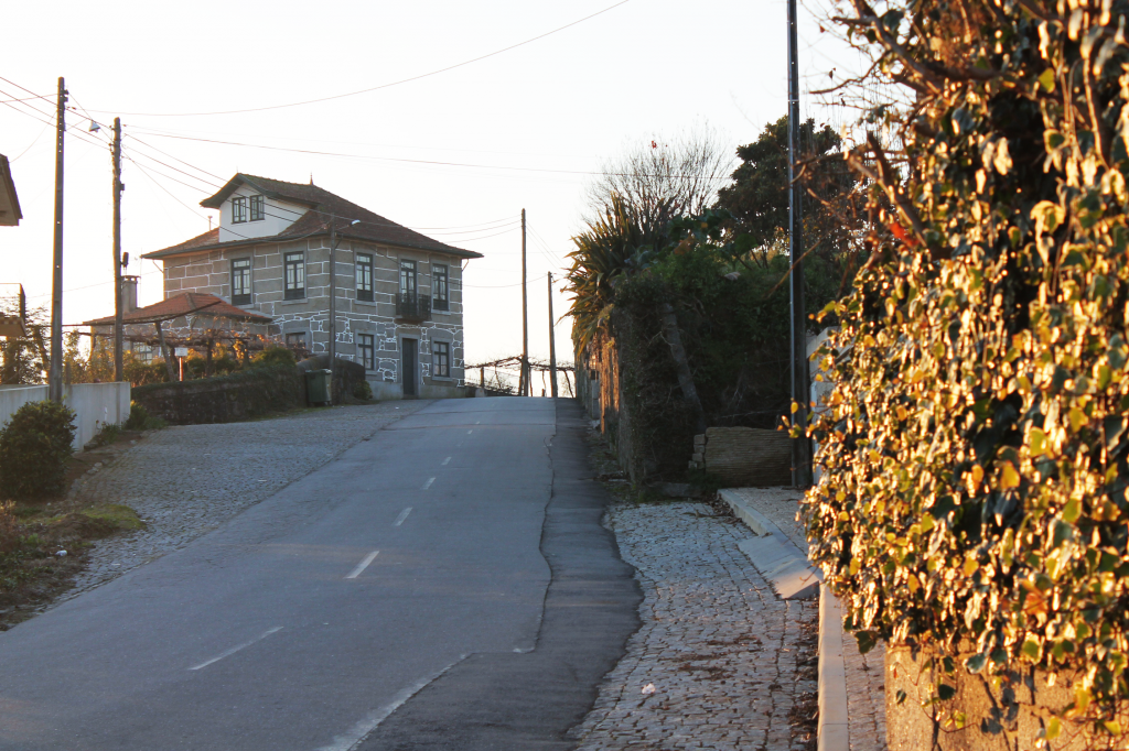  photo road2_zpsa64d6edf.png