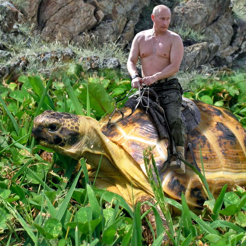 Putin_zpsouksdv54.jpg