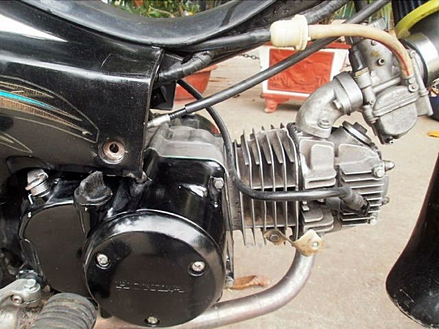 Dream full kiểng,wave alpha 205 zin,máy wave nice trái 60 cần bán! - 1