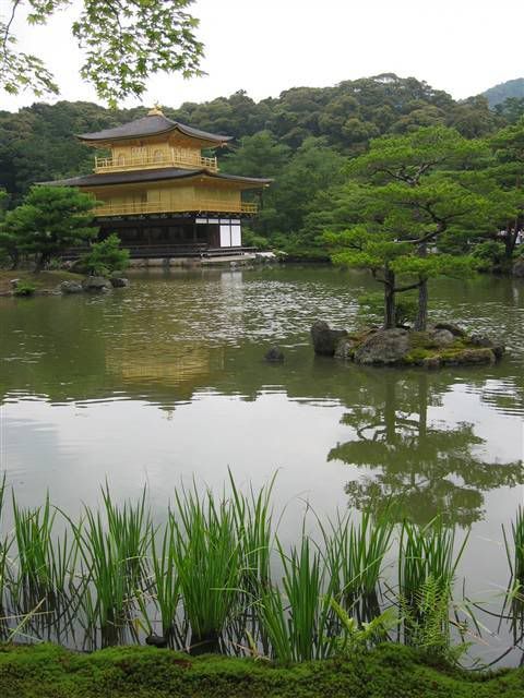 Tokio y Kioto en 11 dias. - Blogs de Japon - Luna de miel en Japon (55)