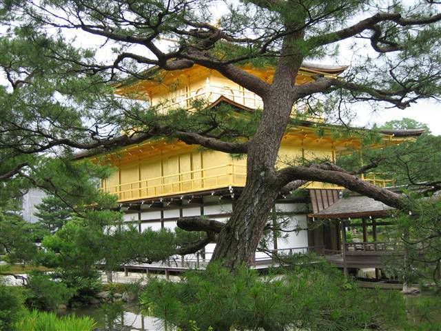 Tokio y Kioto en 11 dias. - Blogs de Japon - Luna de miel en Japon (56)