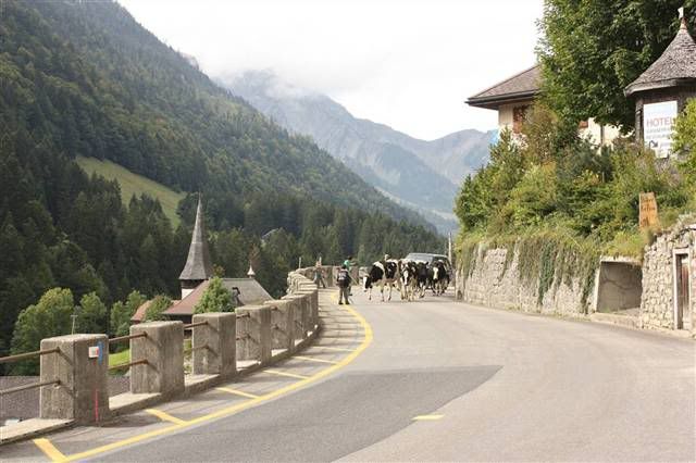 Thun -Interlaken - Suiza desde Valencia 16 dias.Trekking y ciudades. (1)