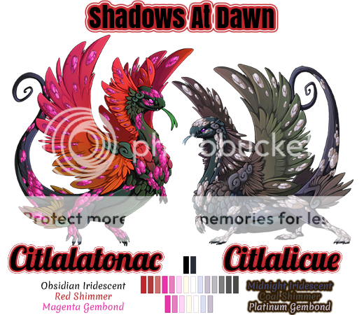 shadowsatdawn.png